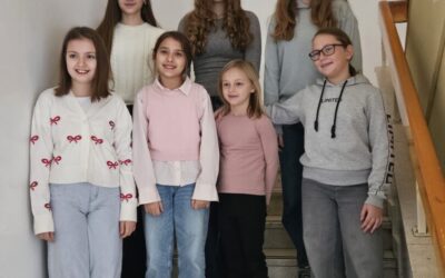 Regionalno natjecanje u SUDOKU – izvanredan uspjeh!