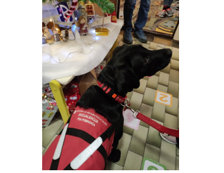 POSJET BUDUĆEG PSA POMAGAČA MOOKY NAŠOJ ŠKOLI