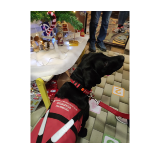 POSJET BUDUĆEG PSA POMAGAČA MOOKY NAŠOJ ŠKOLI