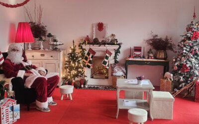 PRVAŠI U KUĆI BOŽIĆNE ČAROLIJE