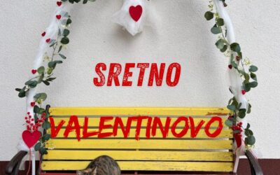 100 SRCA ZA 100 DANA ZNANJA