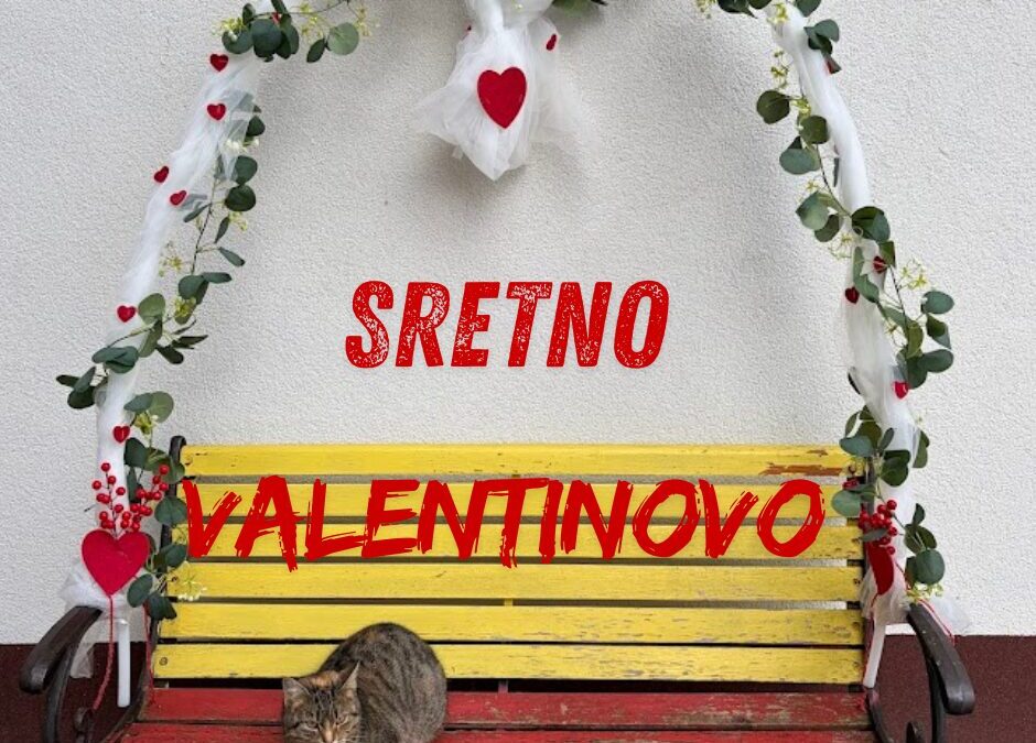 100 SRCA ZA 100 DANA ZNANJA