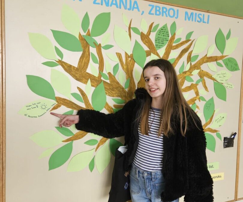 Županijsko natjecanje iz matematike