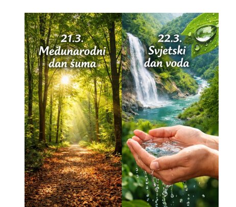 VODA I ŠUME ČUVARI SU NAŠEG PLANETA
